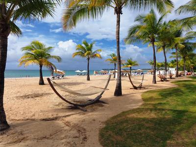 Hoteles en Puerto Rico: Compara hoteles en Puerto Rico desde 18 €/noche en  KAYAK